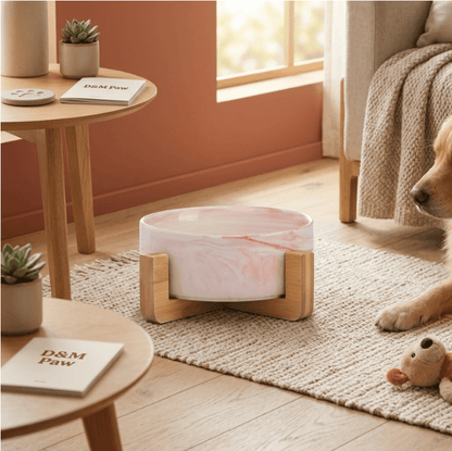 Oblique Mouth Pet Bowl