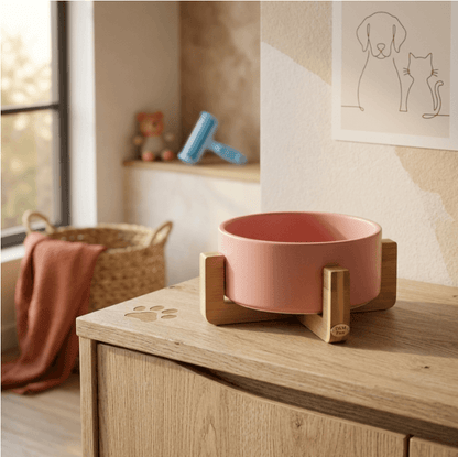 Oblique Mouth Pet Bowl