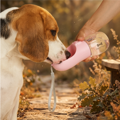 Large portable pet water bottle with built-in drinking trough